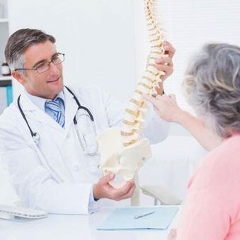 A estrutura da columna vertebral